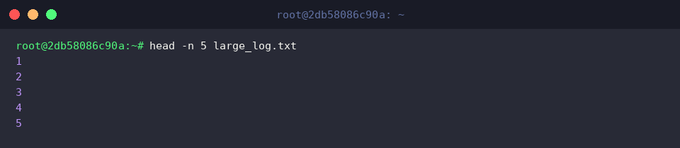 head -n 5 large_log.txt