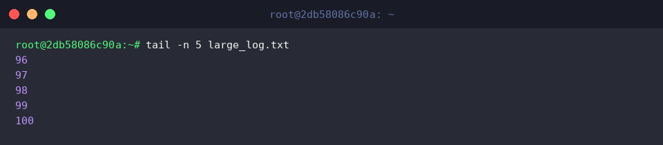 tail -n 5 large_log.txt